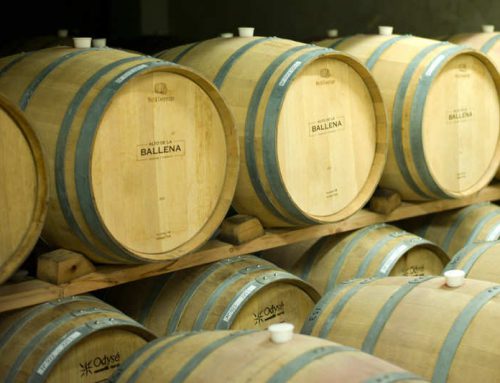 El tannat me alucina