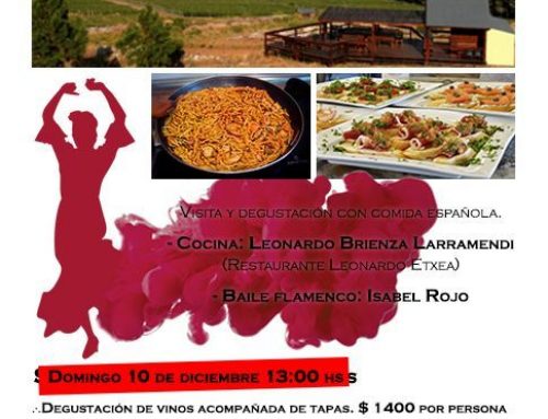Disfruta España en bodega Alto de la Ballena
