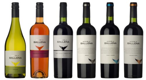Botella de vino